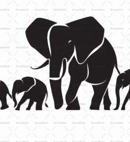 Herde afrikanischer Elefanten